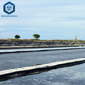 UV resistente impermeável Hdpe China Geomembrana preto impermeável forro membrana para a indústria do sal - Product Image 6