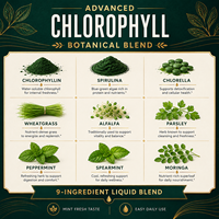 Gouttes liquides de chlorophylle haute puissance 6000 mg avec spiruline et chlorelle pour déodorant interne et soutien énergétique OEM
