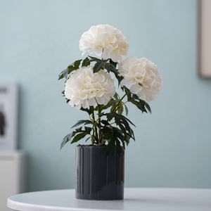 หม้อทรงกระบอกลายดอกดาเลียชุด3ดอกสำหรับตกแต่งบนโต๊ะดีไซน์สีขาว<span class=keywords><strong>สีชมพู</strong></span>แดง - Product Image 2