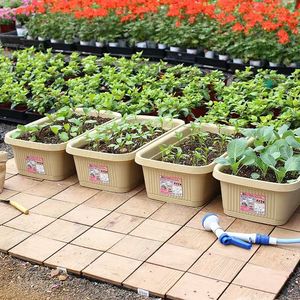 Jardinera Rectangular de Plástico para Balcón, para Cultivar Cebollín - Maceta Extra Grande para Vegetales, Maceta Clásica para Flores - Product Image 5