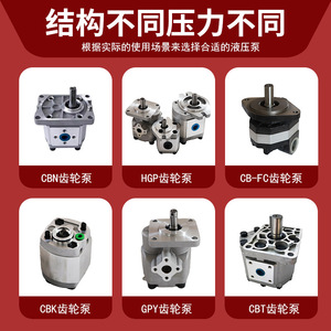 ปั๊มไฮดรอลิกแบบลูกสูบ CBK รุ่น 0.8/1.2/1.6/2.5/4/6/10 จากโรงงานโดยตรง ปรับแต่งได้ พร้อมใช้งานรวดเร็ว - Product Image 4