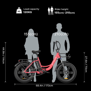 <span class=keywords><strong>ENGWE</strong></span> L20 20*4.0 pouces pneu de montagne vélo électrique 250W moteur 25 km/h vitesse maximale 48V 13Ah batterie Step City Ebike étape à travers - Product Image 6