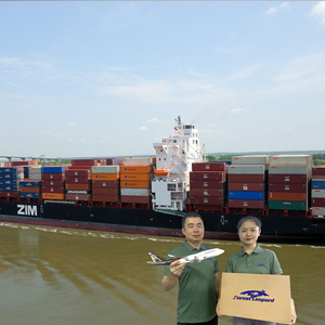 Tür-zu-Tür-Lieferung: Seefracht von Elektrorollern und Elektrofahrzeugen in die USA, nach Australien, Großbritannien und Kanada - Product Image 2