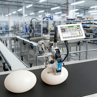 Impresora de Inyección de Tinta Industrial NASCENCE T210ES - Impresión Automática de Etiquetas/Tarjetas/Papel/Tubos/Cartones, Tinta de Secado Rápido, Nueva con 1 Año de Garantía