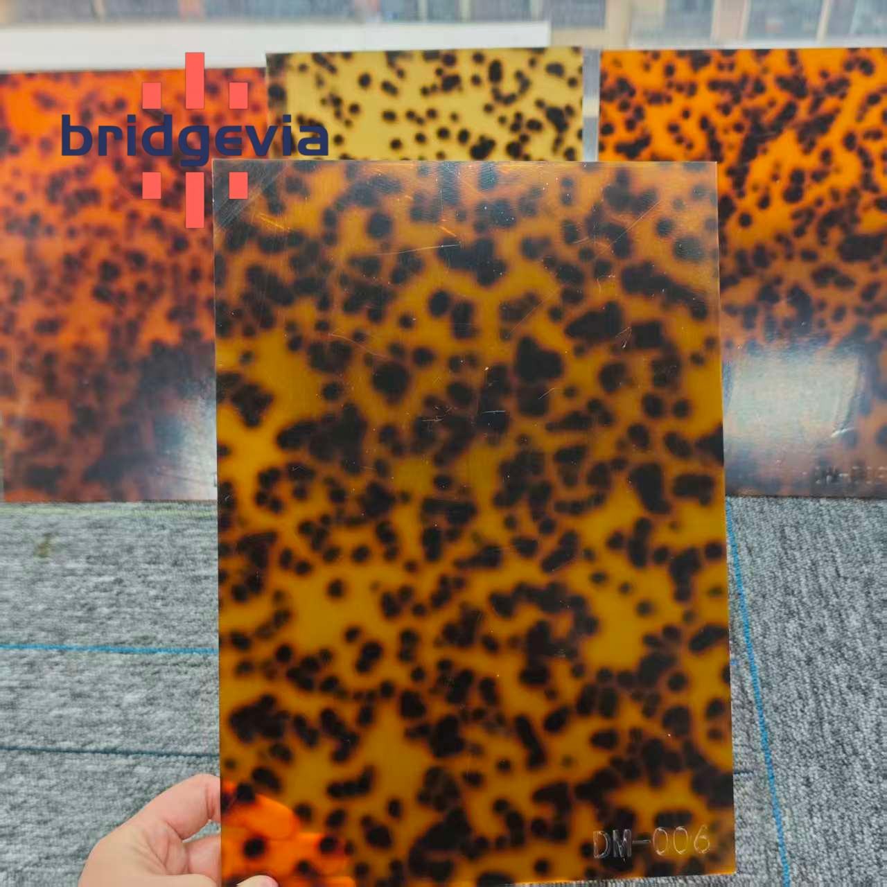 กระดองเต่า-DM-006