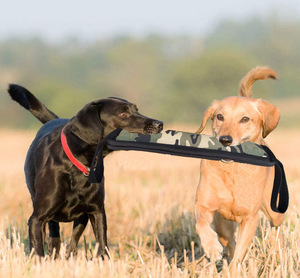 Vật nuôi đào tạo nguồn cung cấp ngoài trời bền con chó kéo Đồ chơi Vật nuôi đào tạo con chó nhai kéo của chiến tranh Đồ chơi Vật nuôi đào tạo & Hành vi sản phẩm - Product Image 3