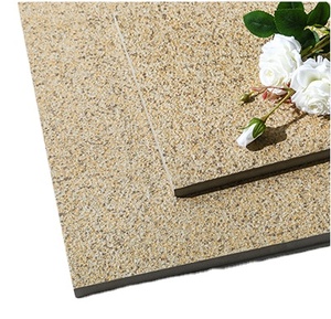 厂家直销 600*1200 * 18mm 长方形/正方形可定制花园瓷砖 环保铺路砖 - Product Image 1