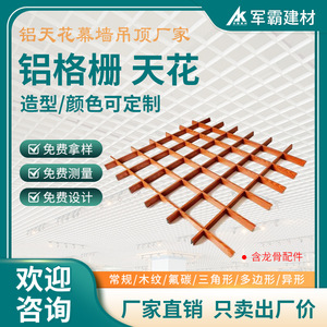 Aluminum Grid <b>Ceiling</b> Rectangle Aluminum Alloy Fireproof Rustproof Easy Installation Modern Design Customized Length - Product Image 5