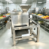 Elektrische industriële mangopulper / fruitpulp-sapmachine / mangopuree-extractor voor fruitverwerkingsmachines