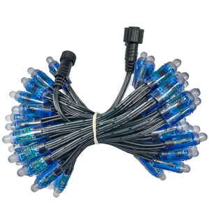 <span class=keywords><strong>WS2811</strong></span>像素串IP68防水5V 12V 12毫米方形RGB发光二极管<span class=keywords><strong>WS2811</strong></span>像素圣诞树用发光二极管灯 - Product Image 4