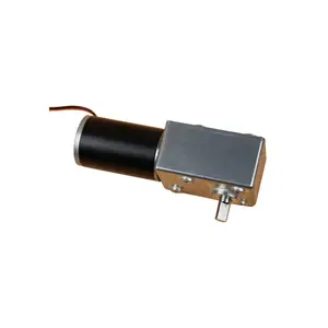 Lage Snelheid 5882wg4575 Plastic 12V 24V Dc Wormwiel Motor Voor Fysiotherapie Bank