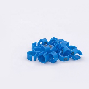 Alle Soorten Racen Australië Tag Kippenduiven Race Vogel Ring Papegaai Duif Bendes 2020 Duiventags Te Koop - Product Image 3