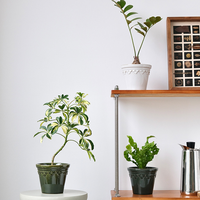 Pot Bunga Keramik Nordik Berlapis Glasir, Pot Tanaman Kreatif untuk Rumah dan Taman, Pot Khusus dengan Lubang Drainase untuk Anggrek Phalaenopsis