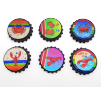 Décapsuleur magnétique en fer et plastique écologique, imprimé UV, cadeaux promotionnels, souvenir, aimant de réfrigérateur, pour cuisine et bar