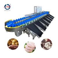 Automatische avocado- en groentegewichtsorteermachine met nauwkeurige temperatuurregeling voor fruit- en groenteverwerkingsbedrijven