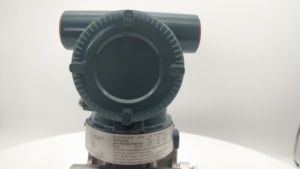 Transmetteur différentiel Yokogawa série EJA/EJX Veuillez fournir le numéro de modèle complet - Product Image 4