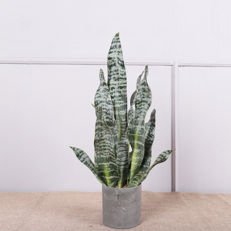 สไตล์ 3 ขนาด 53.5 ซม.