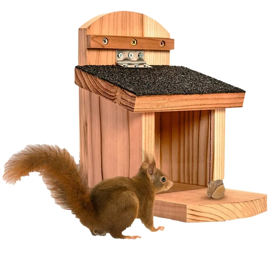 Mangeoire robuste pour oiseaux écureuil avec toit plat en bois résistant aux intempéries motif animal pour petits animaux cages transporteurs maisons hôtels