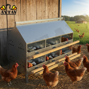 Jaula para Gallinas Ponedoras, Modelo Manuel Nest, 24 Compartimentos, Acero Galvanizado Tipo H, para Granjas Avícolas y Uso Doméstico, Nueva, Alta Productividad, AYTAV - Product Image 3