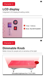 Infrared Sauna Bed LED Therapy Lamp Bed Pain Relief 660nm 850nm 1000 Pieces Red Light Therapy Bed