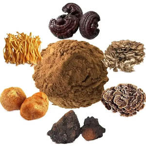 OEM 100% bubuk ekstrak Jamur ORGANIK MURNI Usda surai singa organik, Reishi,<span class=keywords><strong>Cordyceps</strong></span>,Chaga, ekor Turki, Maitake nyata Fruitin - Product Image 2