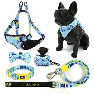 Personal isierte OEM/ODM Haustier zubehör Weich gepolsterte Polyester-Druck muster Hunde halsband Leine Harness Set