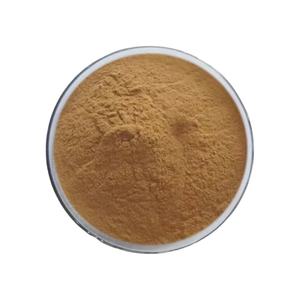 100% saf doğal <span class=keywords><strong>Coleus</strong></span> <span class=keywords><strong>Forskohlii</strong></span> özü 10% Forskolin tozu - Product Image 2