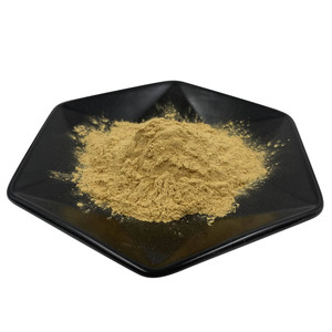 Houttuynia Cordata Extract Houttuynia Cordata Extract