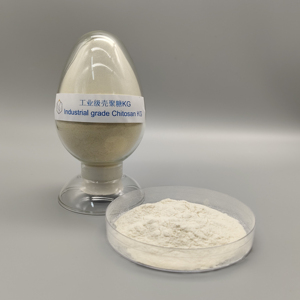 厂家直销热销工业级壳聚糖KG用于水处理 - Product Image 4