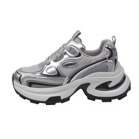 Baskets Chunky Argentées pour Femme à Talon Mi-Haut, Chaussures Athlétiques Décontractées en Maille, Style Plateforme Tendance Printemps-Automne