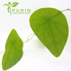 Nutraceuticals için standart Erinacines Hericium özü - Product Image 2