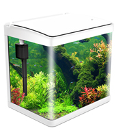 Aquarium rectangulaire moderne de luxe en verre avec éclairage LED, filtre et accessoires pour usage domestique