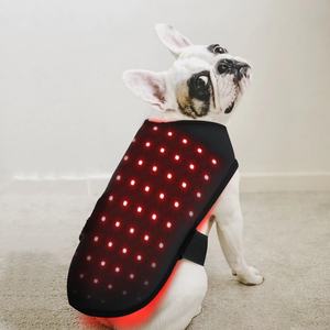 Appareil de thérapie par lumière rouge rechargeable pour chiens, soulagement des douleurs musculaires des pattes, coussin vétérinaire portable 660nm 850nm, soin des articulations - Product Image 2