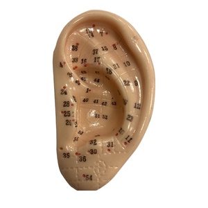 Hot Sale Acupuntura Humana Modelo 7.5cm Ear Acupuntura Modelo Soft Flexível Ear Displays para Acupuntura - Product Image 2