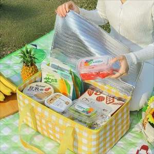 Organisateur de rangement alimentaire portable, construction robuste, sac isotherme pour pique-nique - Product Image 5