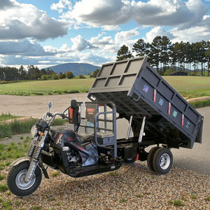 Triciclos de gasolina de 200cc personalizados al por mayor, triciclo de carga de cuerpo abierto con conducción motorizada, triciclos alquilados refinados de China, motocicleta - Product Image 6