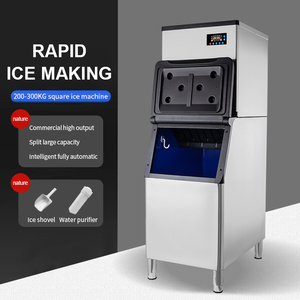 <b>Ice</b> <b>Maker</b> Machine 300kg Stainless Steel Industrial Commercial Cube Block Making for Italian Prices 200kg 250kg 300kg 1000kg 500k - Product Image 5