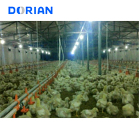 Mise en page de conception entièrement automatisée pour l'élevage de poulets de chair de poulet de couche au Pakistan