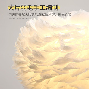 โคมไฟระย้าทรงกลม QiaoSheng แบบขนนก ขั้วหลอด E27 LED หัวเดียว สำหรับตกแต่งห้องนอนและบ้าน - Product Image 3