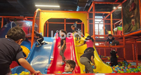 Aire de jeux intérieure commerciale sur le thème de la jungle, bac à balles en plastique, toboggan, maison dans les arbres, décoration, équipement de jeu pour enfants, centres commerciaux, divertissement