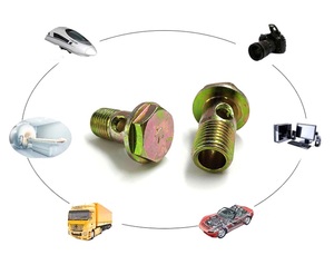 Thép Không Gỉ M8 M10 M12 50Mm Hollow <span class=keywords><strong>Bolt</strong></span> Với Lỗ Hình Lục Giác Đầu Banjo Bu Lông Vít Nhà Cung Cấp - Product Image 2