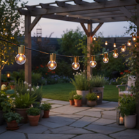 Guirlandes lumineuses LED G40 étanches de 25 pieds et lumières en plastique pour la décoration extérieure de jardin, de la Saint-Valentin, de mariage et de fête