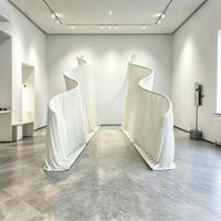 Support de toile de fond en métal blanc de qualité supérieure, forme ondulée, fourni par l'usine, cadre élégant pour mariage, remise de diplôme, décoration extérieure