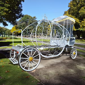 Carruaje Eléctrico Elegante de Doble Propósito para Funerales, Transporte Digno de Despedida con Cabina de Carga Trasera - Product Image 2