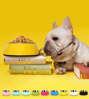 Gamelle stable pour chiot avec support patte – Bols et mangeoires pour chiens en gros – Fabricant certifié et audité