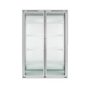 Cửa hàng cửa hàng tủ lạnh cửa kính cửa kính nóng cho nước giải khát Máy làm lạnh đi bộ trong mát hiển thị