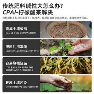 Ajustador de pH del Suelo con Ácido Cítrico Cpai 500g para Plantas que Aman la Acidez, Suplemento de Hierro - Product Image 3