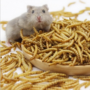 Usine <span class=keywords><strong>de</strong></span> bonne qualité d'aliments pour animaux <span class=keywords><strong>de</strong></span> compagnie riches en protéines <span class=keywords><strong>farine</strong></span> séchée ver - Product Image 5