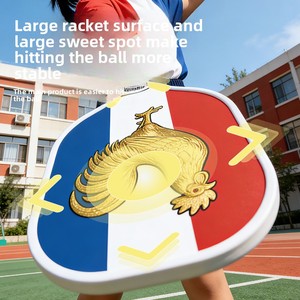 Ensemble de raquettes de pickleball imprimées UV, 250 motifs de dessins animés, motif panda en fibre de verre, jouet familial pour sports de plein air, vente en gros - Product Image 3