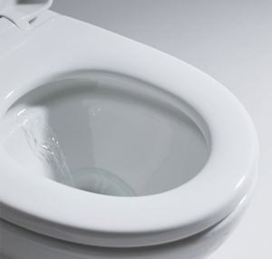 ห้องน้ำติดผนังสำหรับโครงการก่อสร้างส่งตรงจากโรงงานจีน - Product Image 2